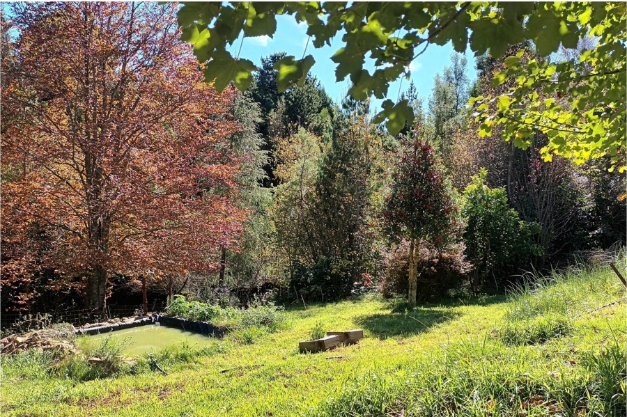 3 Bedroom Property for Sale in Hogsback Eastern Cape
